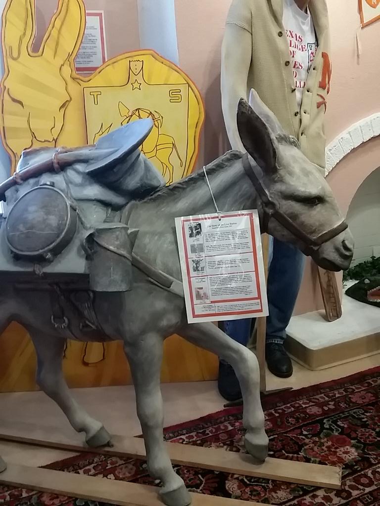 cacanava1's tweet photo. Donkeys were 1st mascots at UTEP #univ1301 #UTEP http://t.co/vAX2XmaX47