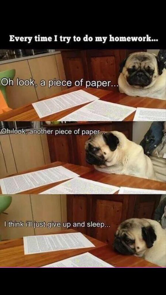 K_Scanlan's tweet photo. Physics is so much easier with a physics buddy.. #anytakers http://t.co/hf8Q9qUFh3