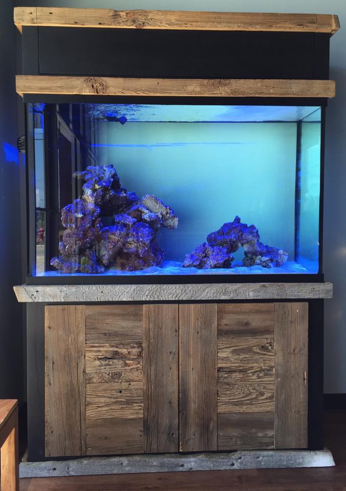 Custom Aquarium Installation - 1m.ag/apEdb