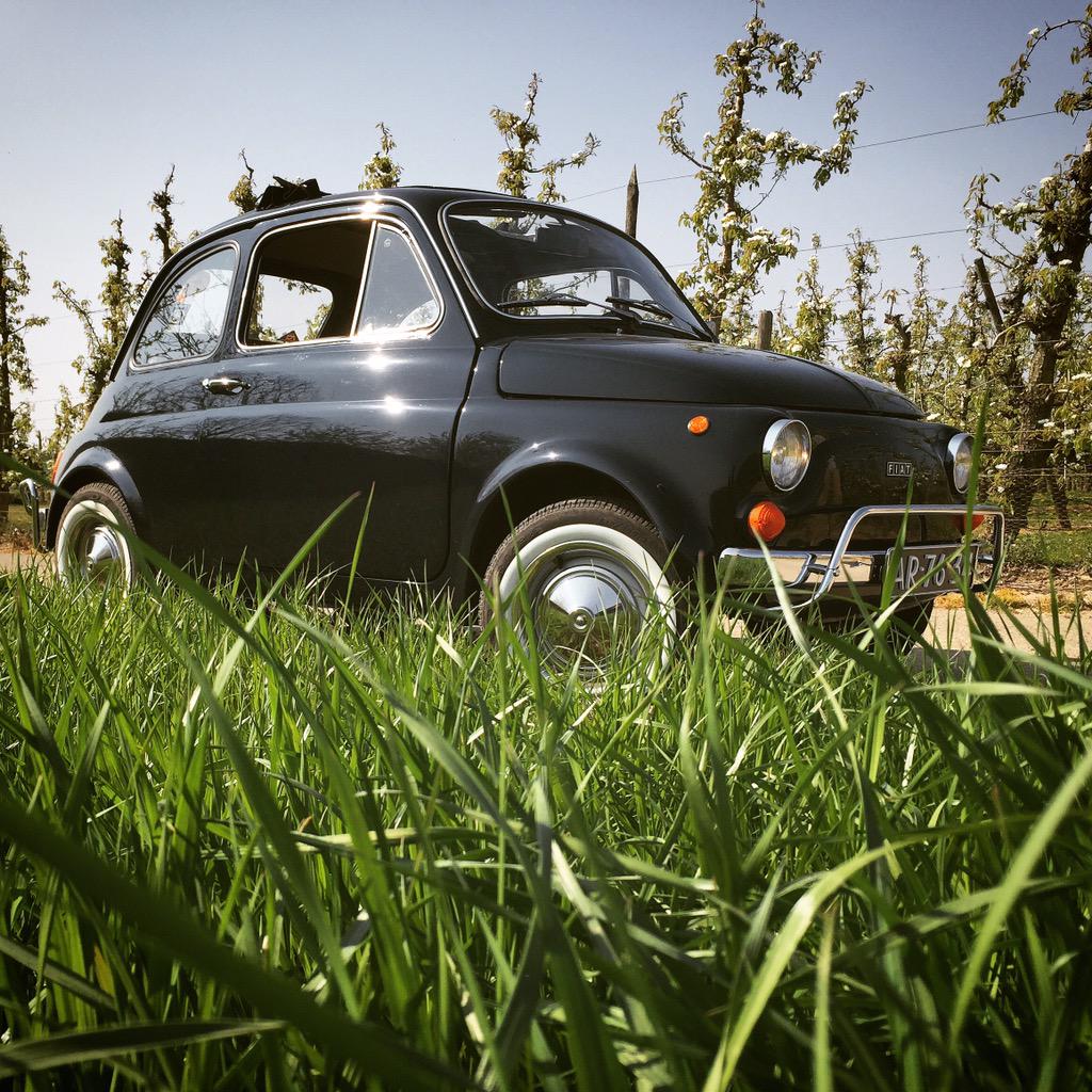 Di Ricco uitlaten! <a href="/yderks/">Yvette Derks</a> 🇮🇹 #Fiat #500L #Sun #Top #Italia