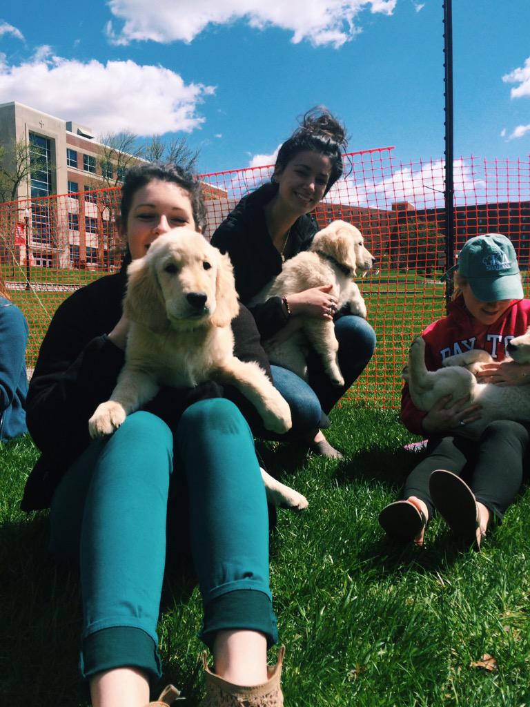 It's not too late!! Come to KU Field &amp; play with puppies!!!! 1$ gets you 10 mins of pure joy!!