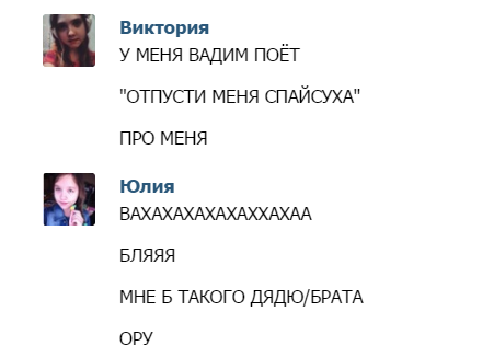 Ананасный лис :з tweet media