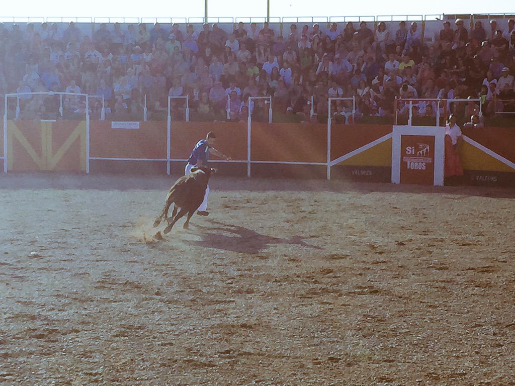 Cuarta pareja: vaca número 215 "abuela"