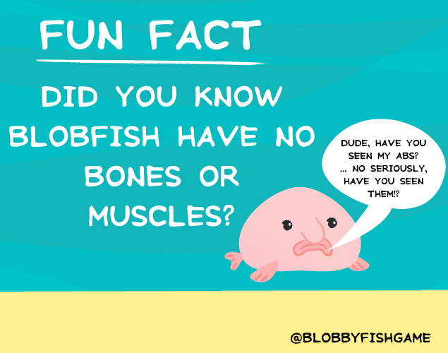 blobfish facts