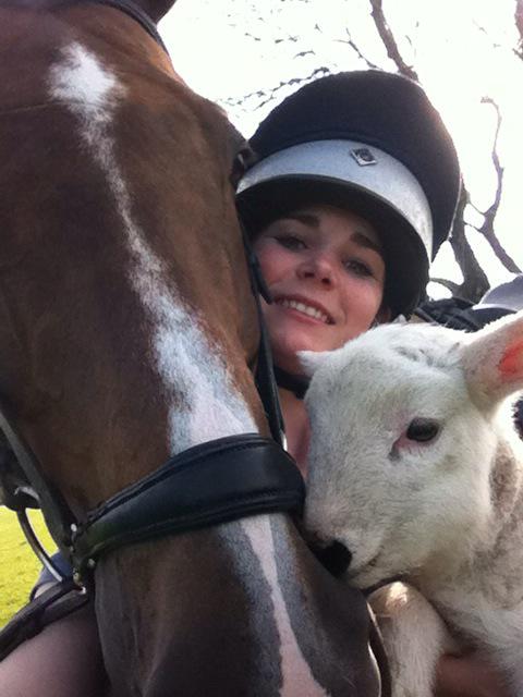 Zac making new friends #goodhorse