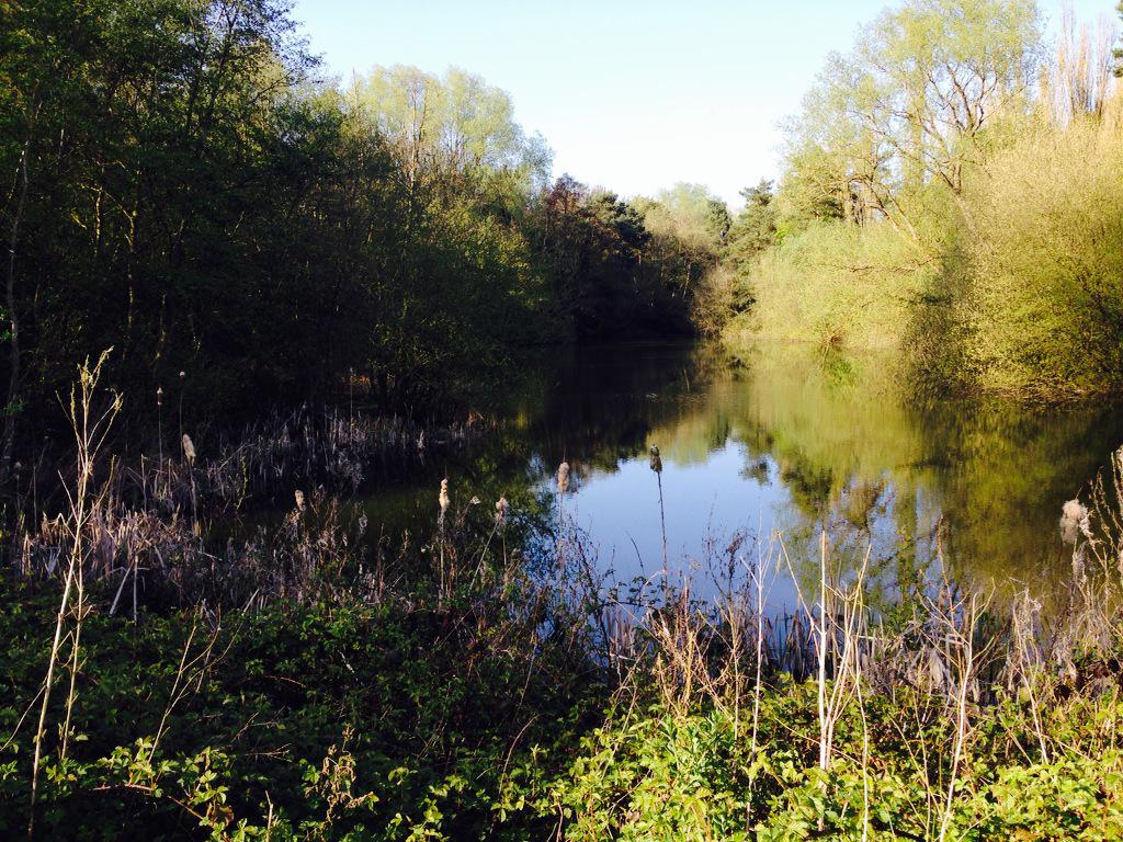 helenhesk's tweet photo. Beautiful dog walk around #uftonfields http://t.co/N7OYE7XVxa