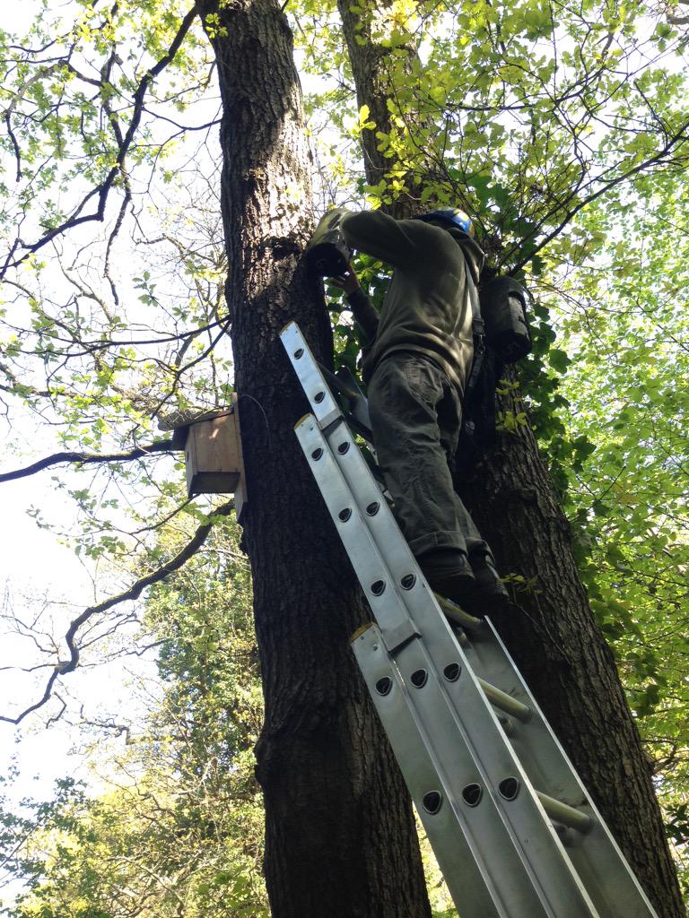 emmabpooley's tweet image. On the downside, I have bat poo in my hair #conservationproblems