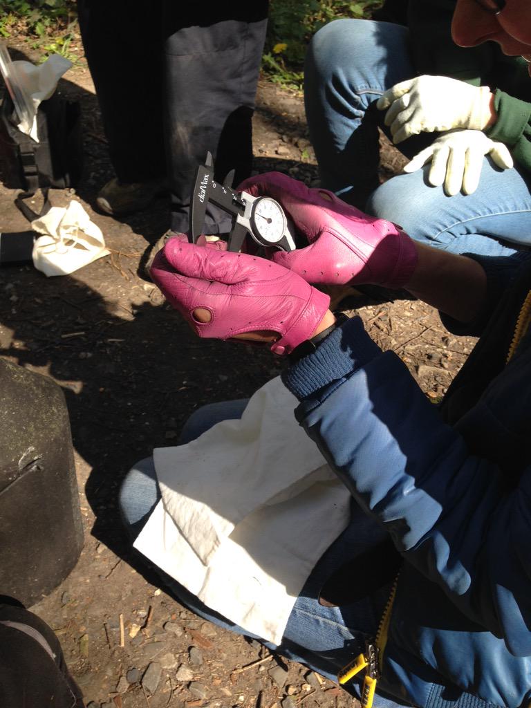 emmabpooley's tweet image. On the downside, I have bat poo in my hair #conservationproblems