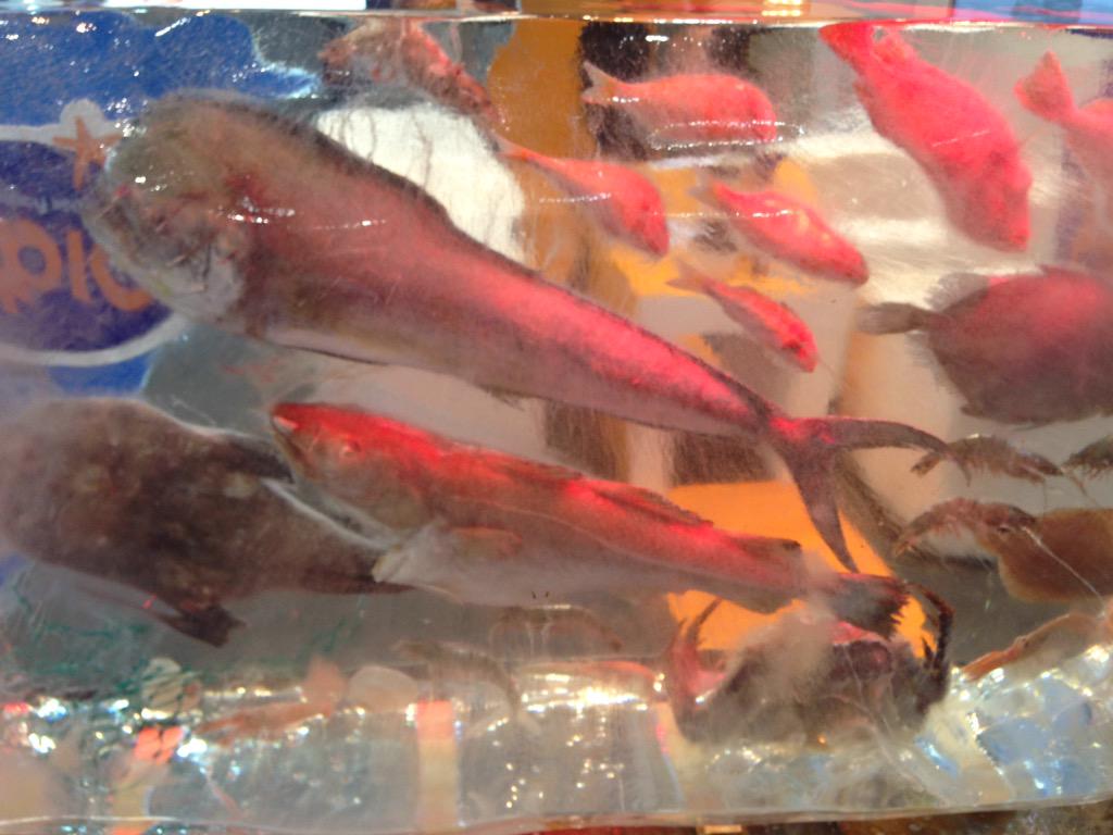 eddiesmsgpc's tweet image. Seafood expo#