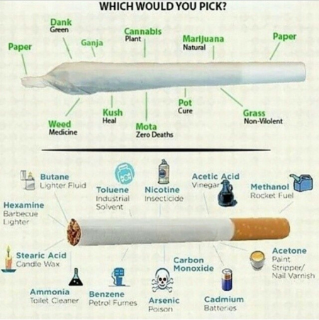 wclark3ak's tweet photo. It is a proven fact that marijuana has less chemicals and is less harmful than smoking cigarettes #LEGMARkms http://t.co/zfdqPfNOSN