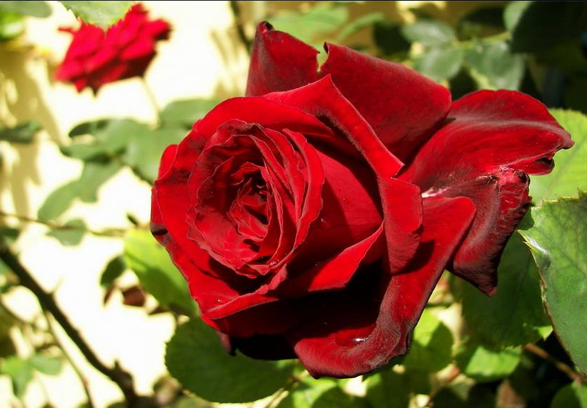 rysj108's tweet photo. http://t.co/elx1Z4k2WD