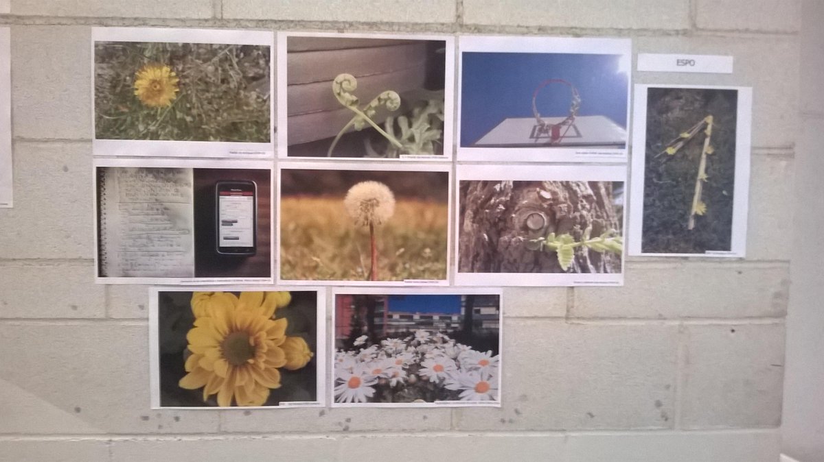 fuensanta_marin's tweet photo. Concurs de fotografia matemàtica al Ribera Baixa. Gràcies a tots els participants!   @matesAbeam #fotomatematica http://t.co/yt5WTAiGrC