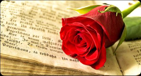 capde11's tweet photo. Feliz día de Sant Jordi a todos, una pena vivirlo en la distancia!!! http://t.co/nMXmq3SxLf