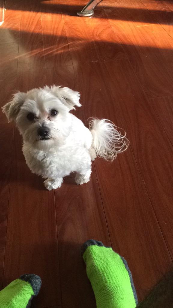 SuperJoeTendo's tweet photo. Happy Birthday @Chulo_____ 
#SophmoreYear 🐶 http://t.co/p0tQGoCgWS