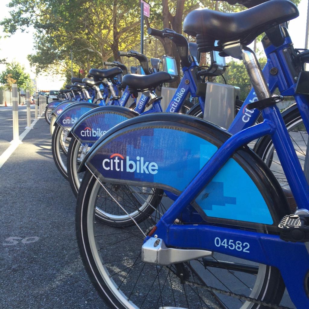 3g venice beach cruiser