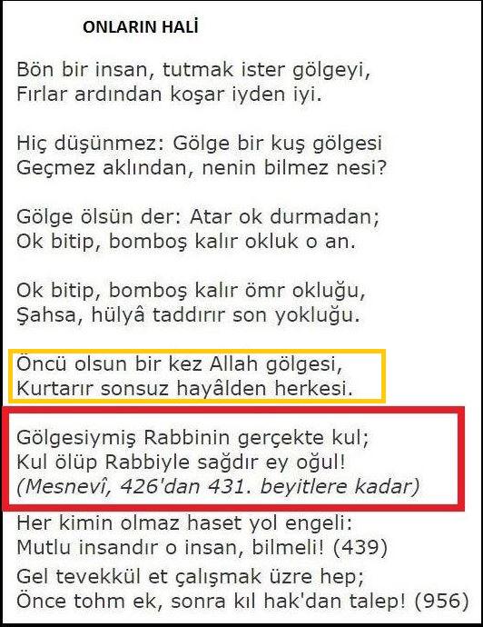 aydingoz61 tweet picture