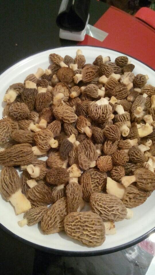 sahin3370's tweet photo. 23 Nisan hasılatı #Kuzugöbeği Bekir ve @serhat166 ile (@ Yayla Evim) https://t.co/Cmcbg3TZo3 http://t.co/xuVq9qGqJA