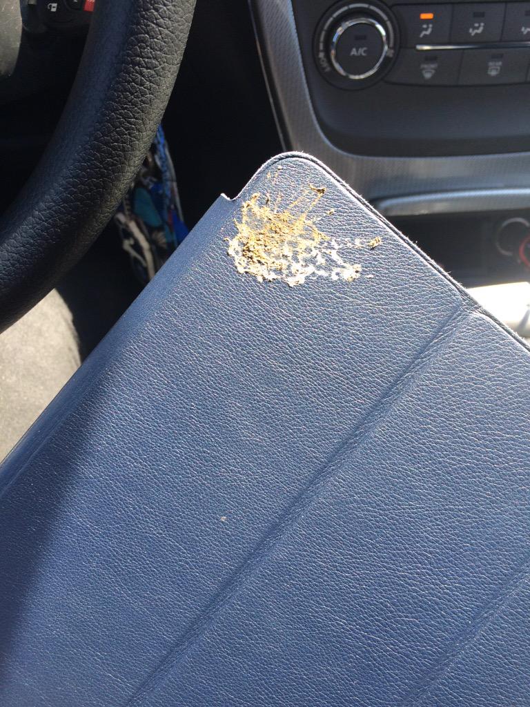 missratliff5th's tweet photo. #badluckandrew when a bird poops through the open window onto your iPad case..... http://t.co/I8TSiwcwJu