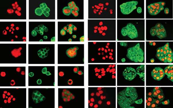 Popular Science tweet media