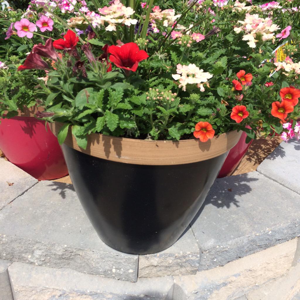 Southernpatio Hashtag On Twitter