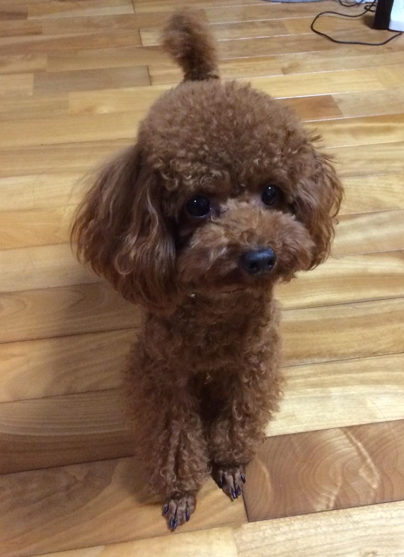 kibocafe's tweet photo. うちの営業マン http://t.co/H1x22MJFrC