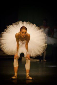 twerknballerina's tweet photo. "hows your semester going?" http://t.co/un0Y2UVUzg