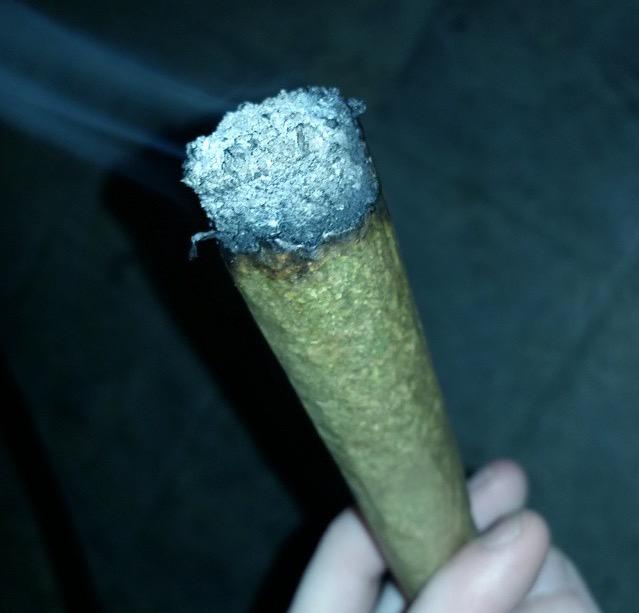 RAWLIFE247's tweet photo. That ash though!!
#NiceAsh
#PerfectBurn
#WeShouldSmoke
#rawlife http://t.co/Ug3JJI65yJ