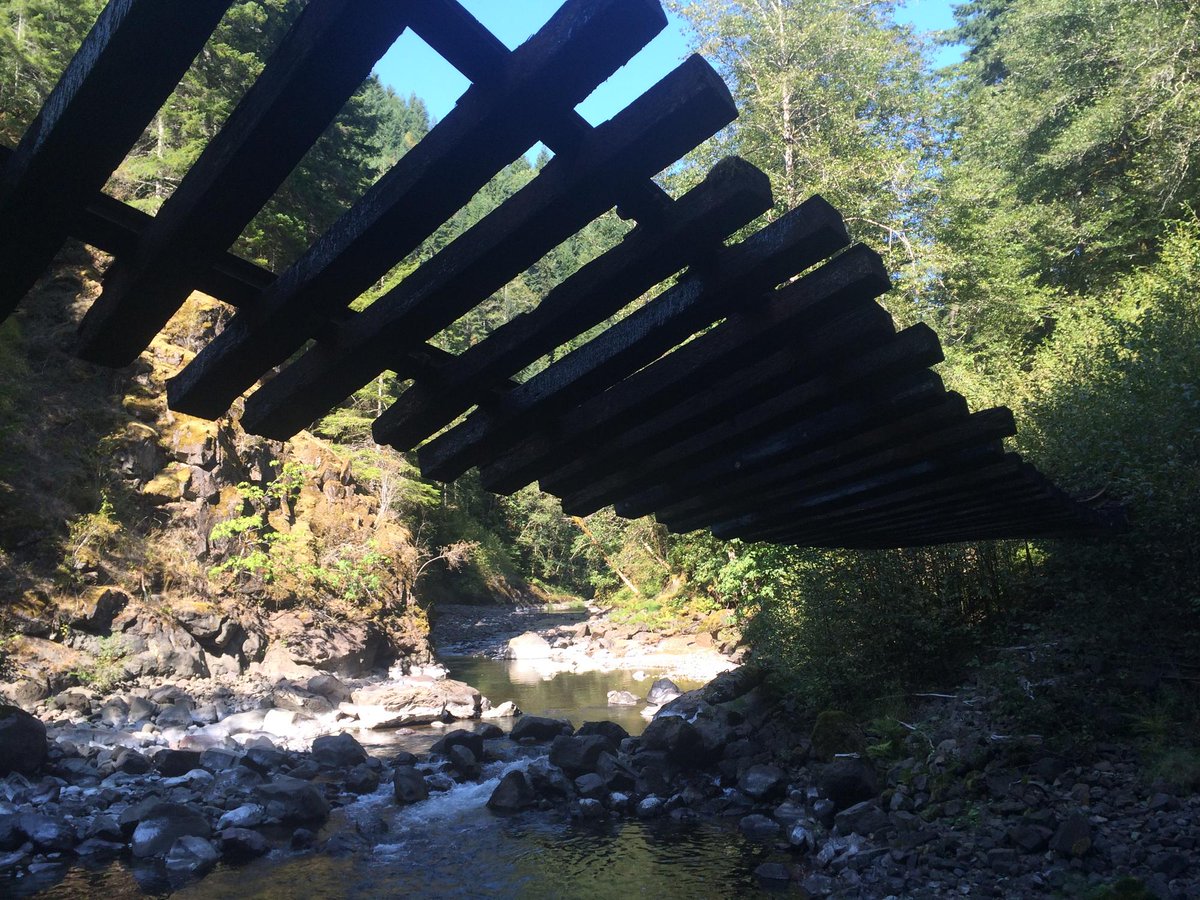 PdxPipeline's tweet photo. Spots are still available for Pisgah Adventures LLC​'s Salmonberry River Canyon Hike  --> https://t.co/ACnuLWkJsq http://t.co/dNt02iu1FM