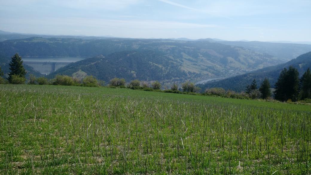 Awesome view tissue sampling today! #farm365 #nutrientmanagement #dworshakdam