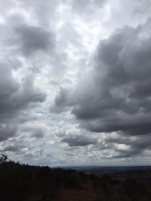 The best healing balm is friendship, love, nature, and cookies. A lot of cookies. http://t.co/MyAEsg<a href="/tag/mvsales"class="tags"><span>#mvsales</span></a>