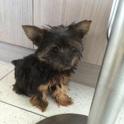 estherwuff's tweet photo. Bad hair day.. #wokeuplikethis http://t.co/XHH0Jibs3c