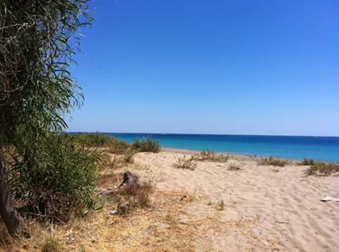 IPistono's tweet photo. Punta Alice.....#magicaCiro' http://t.co/vbGsm0noQ6