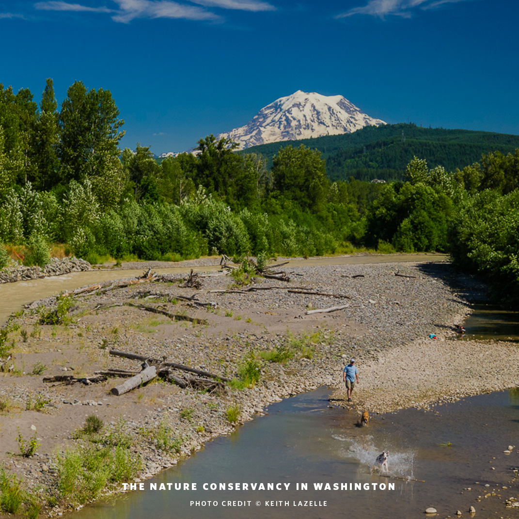 Conserve_WA's tweet photo. We're helping cities become more resilient through floodplain management: http://t.co/XvnnkJEg43 #NatureandCities http://t.co/RyYaBEnb7h