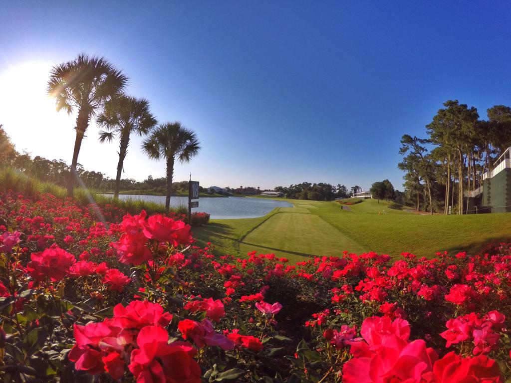 TPCSawgrass's tweet photo. Hole No. 18 is ready!

#PGATOUR #THEPLAYERS http://t.co/pzCwVU56wE