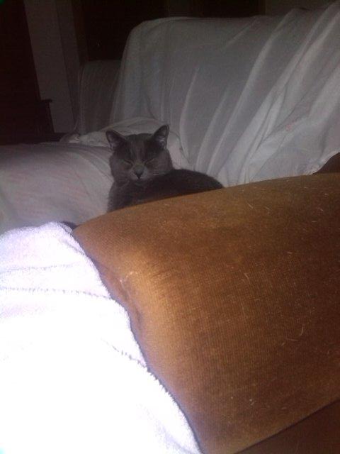 silvikaa_92's tweet photo. Estoy muy loco xd http://t.co/raK9xDBSj6