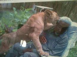 5335Yusuf's tweet photo. @AntoProphy @eNCAnews  your right but our lions are waiting south african  people in hon of africa we have ever each http://t.co/TdQHweQG0f