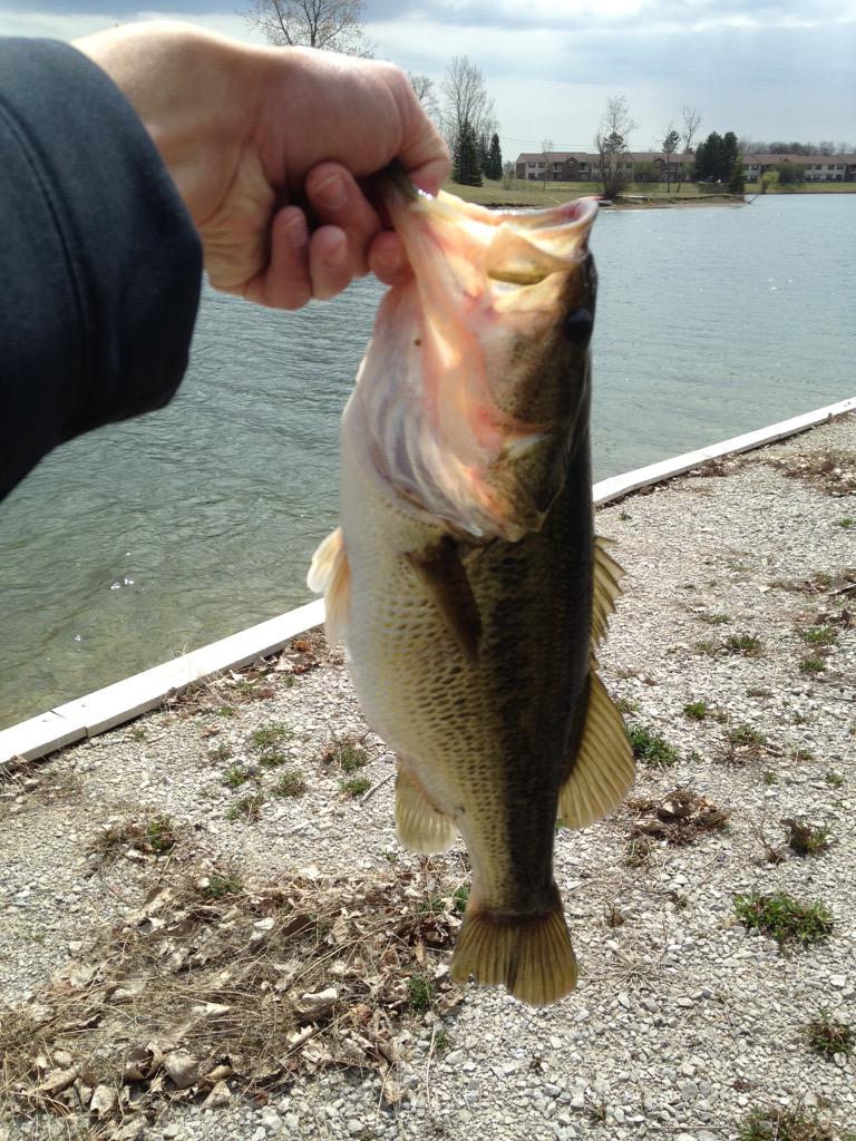 Slayed them the other day!!! First two biggens of the year!!!
#NeverQuit #bassfishing #2015 #liplesscrank