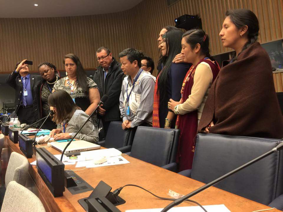 jade_mikaela's tweet photo. Today we addressed the United Nations Permanent Forum on Indigenous Issues to instigate collaboration. #UNPFII2015 http://t.co/X0oN6OZC21