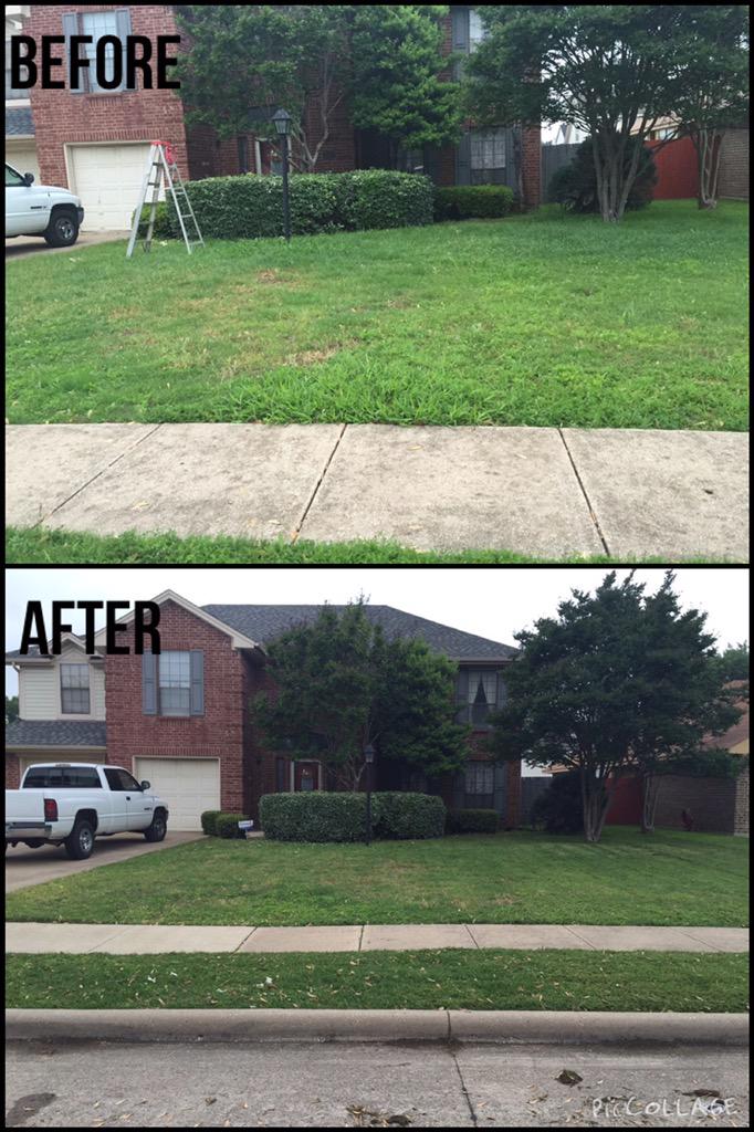 JoseS_LawnS's tweet photo. From bushes to tree trimming I do it all feel free to call me for a free quote ππ #cleanyards #reasonableprices http://t.co/kmh8XyPfFj