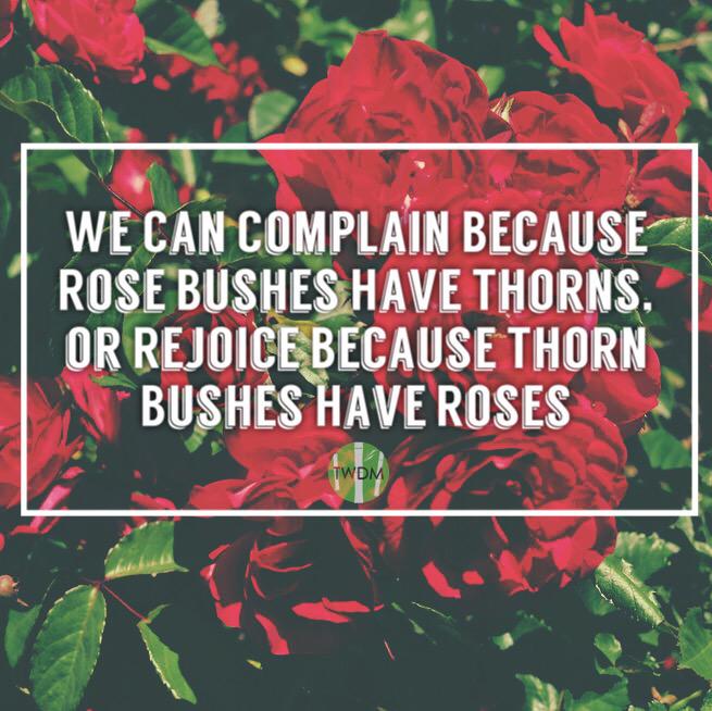 ThoseWhoDoMore tweet picture