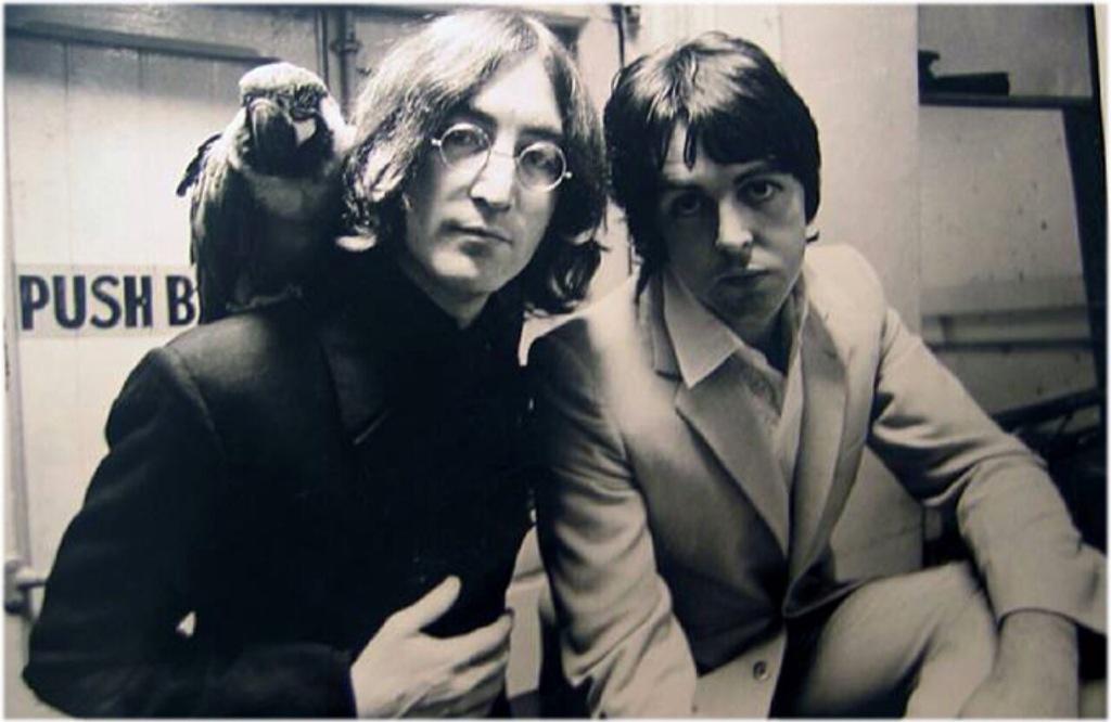 o so pols doge gets an song but not teh bird i c