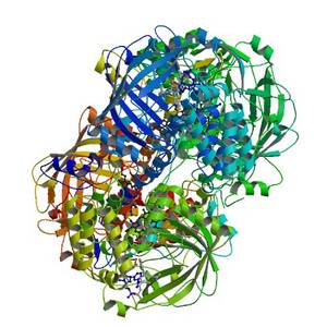 NGHCatalase's tweet photo. #catalase http://t.co/71PrBdMtSY http://t.co/8kA8p3hhXu