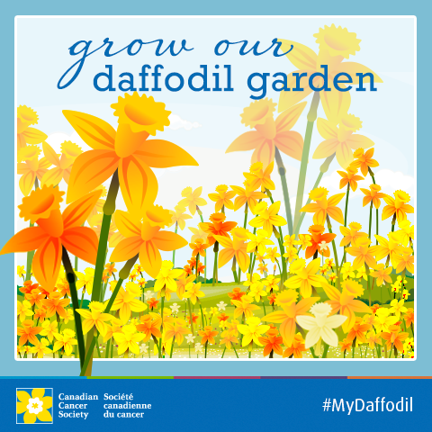 ulethrelay's tweet photo. Think the garden is full now? We’ve still got a week left in #DaffodilMonth. Buy a pin &amp; watch our garden grow! http://t.co/lkol8Itpje