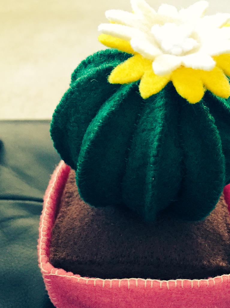 sepiastitch's tweet photo. Cacti! Self-sustaining plants are coming soon to the shop... #sepiastitch #desertlife #happyspring http://t.co/Pzj7giaIRQ