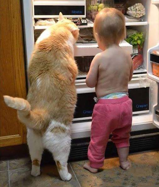 6941bd8a276b43e's tweet photo. Have A Nice Day....Sir. http://t.co/qOV31WMqDi