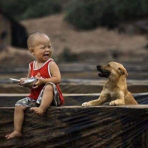 6941bd8a276b43e's tweet photo. Have A Nice Day....Sir. http://t.co/qOV31WMqDi