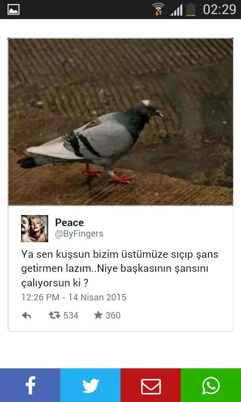 Yaaaa sennnn 😂😂😂