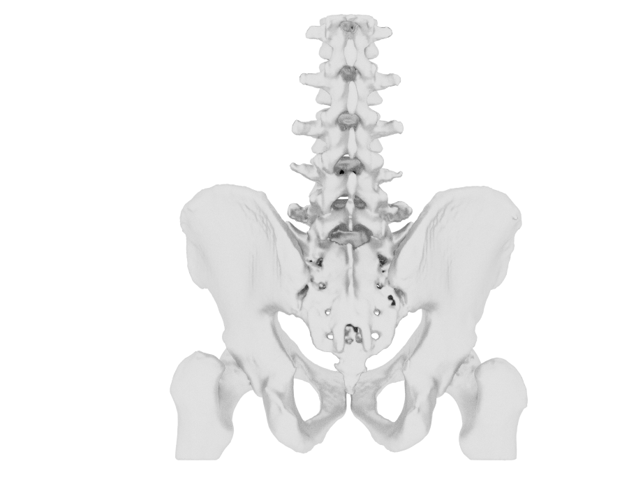 kickstartbuzz's tweet photo. #NationOfMakers|Know a #maker #patron? Help @printhuman add all organs @NIH3Dprint #3DPH at https://t.co/UpaSiN3gaU http://t.co/88JFaLMOht
