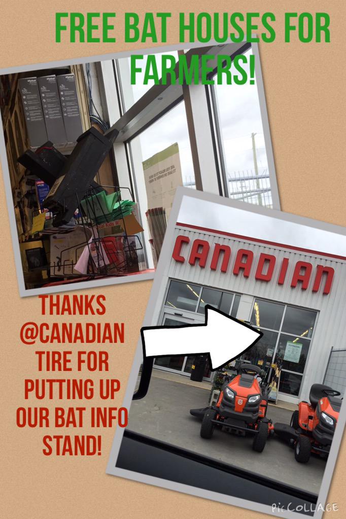 mrskorstanje's tweet photo. Our bat house stand is finally up!  So proud of our #lkdsb kinders! @misscourtney8 http://t.co/ZFFPNhE7Yy