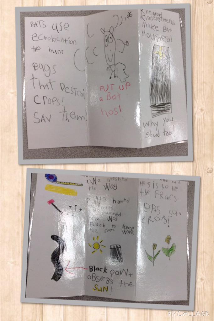mrskorstanje's tweet photo. Our bat house stand is finally up!  So proud of our #lkdsb kinders! @misscourtney8 http://t.co/ZFFPNhE7Yy